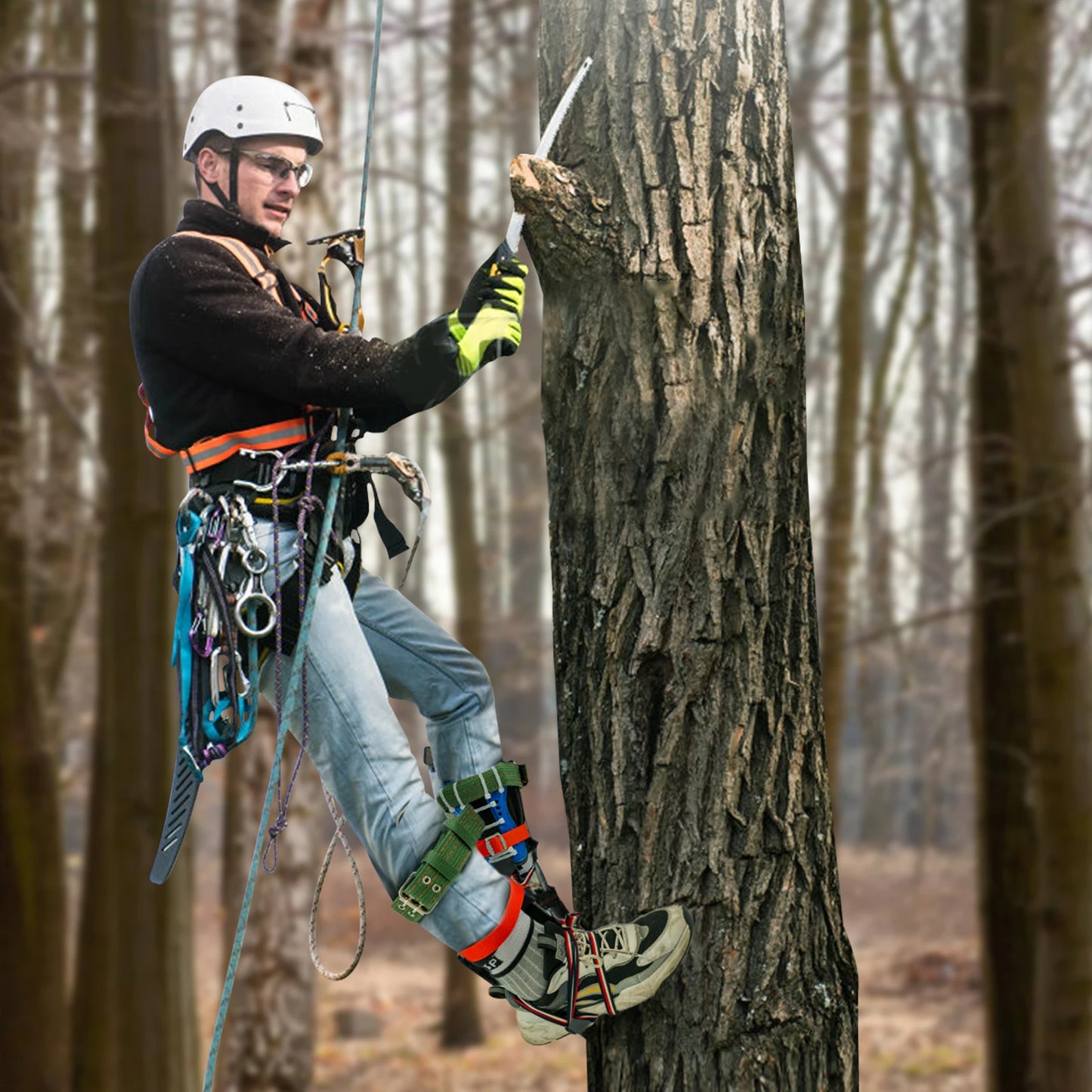 Tree Climbing Kit With Safety Belt Rope For Fruit Picking